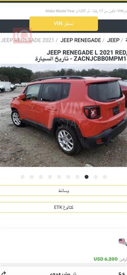 جيب رينيجيد